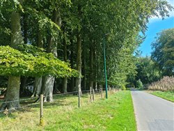 tremauville (4)
